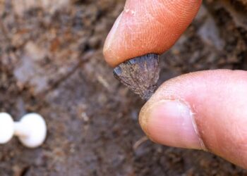 Arqueólogos encuentran pruebas del fuego más antiguo creado por seres humanos