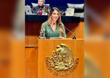 Senado aprueba reforma de Ruth González Silva sobre atención a niñas y mujeres autistas