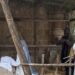Detienen a un fugitivo de la justicia en Italia tras ser hallado como figura de un Nacimiento