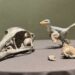 Descubren en Coahuila nuevo dinosaurio carnívoro del Cretácico Tardío