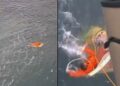 Pescador sobrevive 17 horas aferrado a la puerta de un refrigerador en Brasil