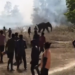 Este es el ‘elefante asesino’ de 22 personas en India; sigue prófugo… y lo andan cazando