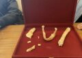 Hallan en Marruecos restos humanos de 773 mil años clave para entender el origen del Homo sapiens