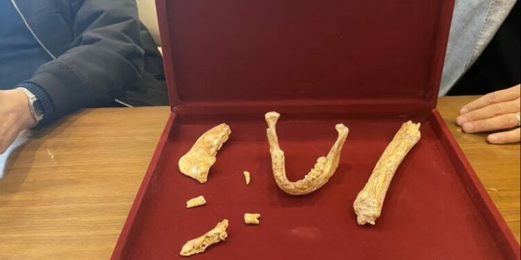Hallan en Marruecos restos humanos de 773 mil años clave para entender el origen del Homo sapiens