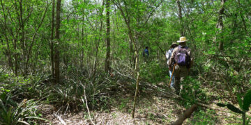 La Fiscalía confirma hallazgo de restos humanos en la Lagunta del Mante