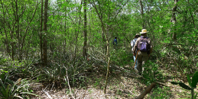 La Fiscalía confirma hallazgo de restos humanos en la Lagunta del Mante