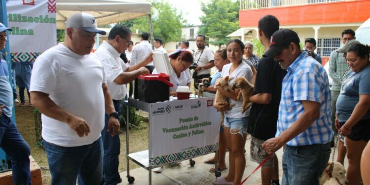 Salud estatal realiza 20 mil esterilizaciones y aplica más de 500 mil vacunas antirrábicas en 2025