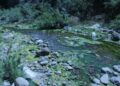 Contaminación impune, Interapas y Ayuntamiento incumplen saneamiento del Río Paisanos