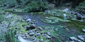 Contaminación impune, Interapas y Ayuntamiento incumplen saneamiento del Río Paisanos