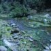 Contaminación impune, Interapas y Ayuntamiento incumplen saneamiento del Río Paisanos