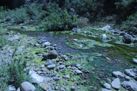 Contaminación impune, Interapas y Ayuntamiento incumplen saneamiento del Río Paisanos