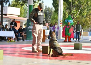 GCE refuerza acciones de prevención y proximidad en escuelas dentro del Plan de Seguridad 2026