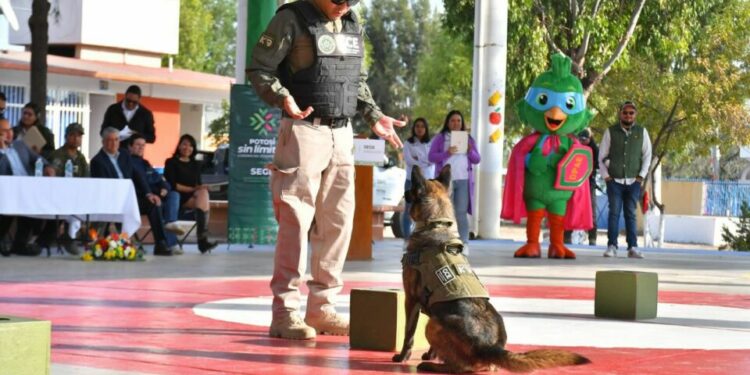 GCE refuerza acciones de prevención y proximidad en escuelas dentro del Plan de Seguridad 2026
