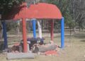Ayuntamiento evade responsabilidades tras accidente en el Parque de Morales