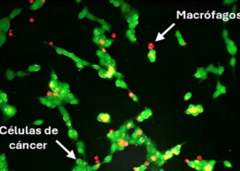 Científicos crean tratamiento para tumores inspirado en piezas LEGO
