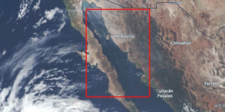 Diputado llama a reconocer ya al Golfo de California como territorio mexicano