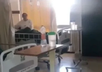 Se muestra a enfermeras del IMSS protegiendo a pacientes en hospital durante el sismo