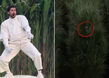 Esto ganaron las personas disfrazadas de árboles en el show de Bad Bunny del Super Bowl