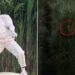 Esto ganaron las personas disfrazadas de árboles en el show de Bad Bunny del Super Bowl