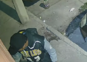 Intento de robo en vivienda queda grabado por cámaras en Tomasa Estévez