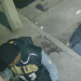 Intento de robo en vivienda queda grabado por cámaras en Tomasa Estévez