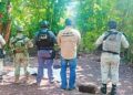 Hallan 6 cuerpos en fosa clandestina localizada en Tabasco