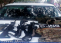 EU sanciona a red de fraude de tiempos compartidos ligada al CJNG; incluye a Kovay Gardens que opera en Puerto Vallarta y Nayarit