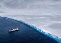 Descubren en la Antártida criaturas marinas nunca antes vistas que podrían reescribir la historia de la biología