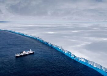 Descubren en la Antártida criaturas marinas nunca antes vistas que podrían reescribir la historia de la biología