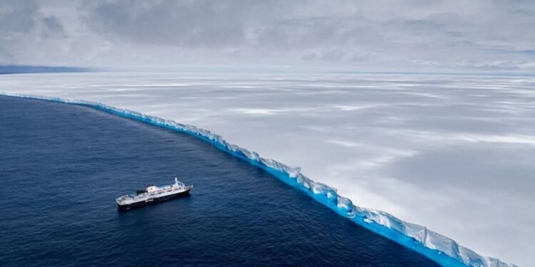 Descubren en la Antártida criaturas marinas nunca antes vistas que podrían reescribir la historia de la biología