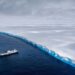 Descubren en la Antártida criaturas marinas nunca antes vistas que podrían reescribir la historia de la biología