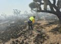 Incendio forestal en Santo Domingo afecta más de mil hectáreas