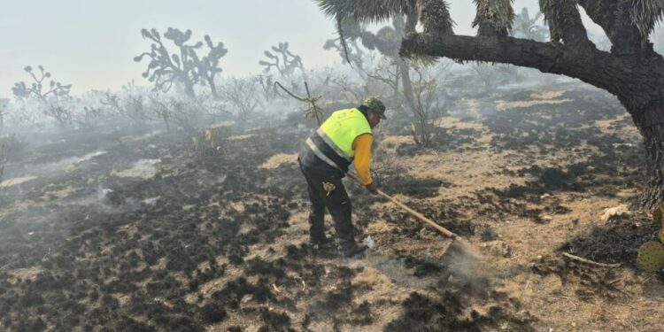 Incendio forestal en Santo Domingo afecta más de mil hectáreas