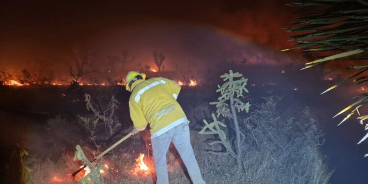 Reportan 40% de control en incendio forestal en Santo Domingo
