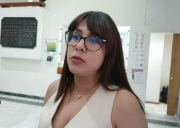 El padrón de deudores alimentarios es un elefante blanco: diputada