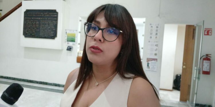 El padrón de deudores alimentarios es un elefante blanco: diputada