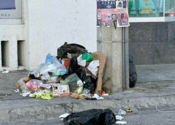 Denuncian acumulación de basura en la calle Alfredo M. Terrazas