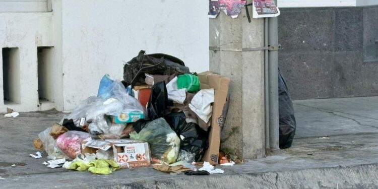 Denuncian acumulación de basura en la calle Alfredo M. Terrazas