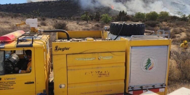 Atienden incendio en comunidades de Mexquitic de Carmona