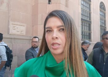 Se analizará con responsabilidad reforma electoral: Ruth González