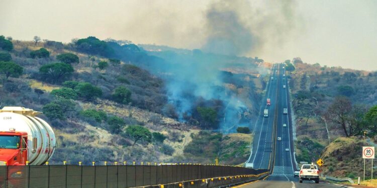 Deportistas potosinos buscan viajar a San Luis Potosí con seguridad