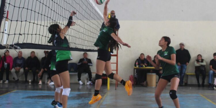 Matehuala calificó a la Olímpiada Nacional en Voleibol