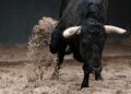 Toro escapa y embiste a familia en Querétaro