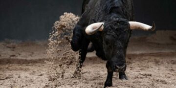 Toro escapa y embiste a familia en Querétaro
