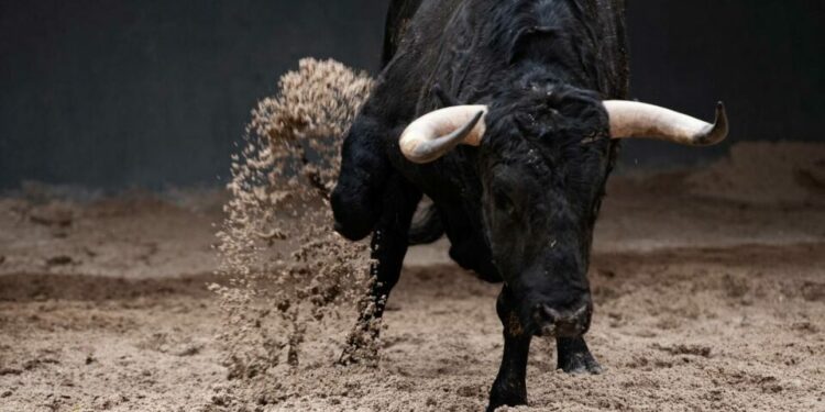 Toro escapa y embiste a familia en Querétaro