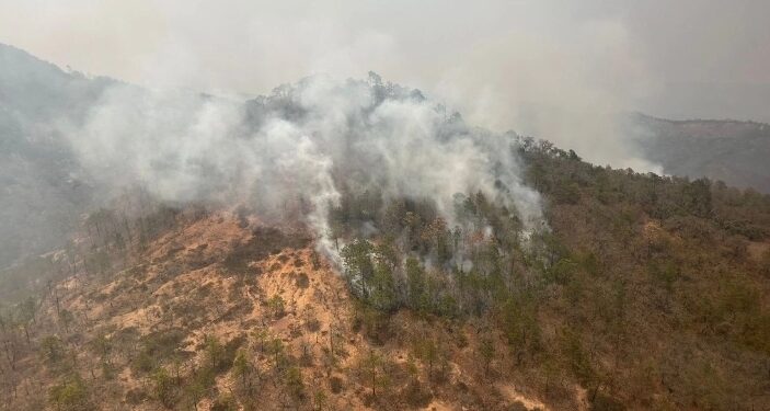 Preocupa el aumento de incendios: PC