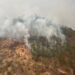 Preocupa el aumento de incendios: PC