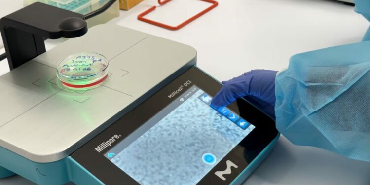 Un estudio con pacientes mexicanos revela detalles inéditos del melanoma acral, el subtipo de cáncer de piel más común en Latinoamérica