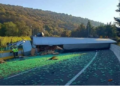 Cierran la autopista México-Cuernavaca tras volcadura de tráiler; hay una persona sin vida