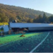 Cierran la autopista México-Cuernavaca tras volcadura de tráiler; hay una persona sin vida